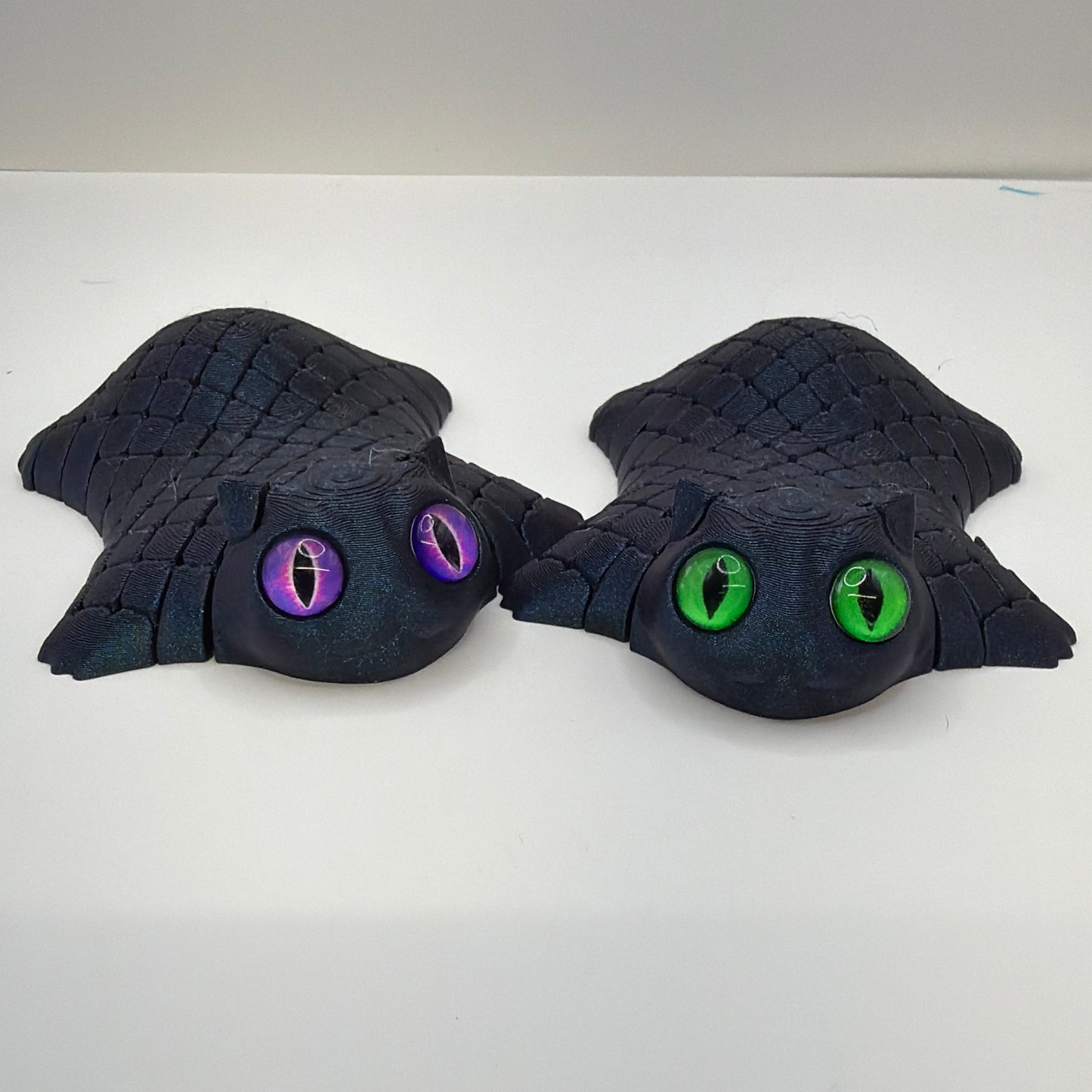 Fidget Cats