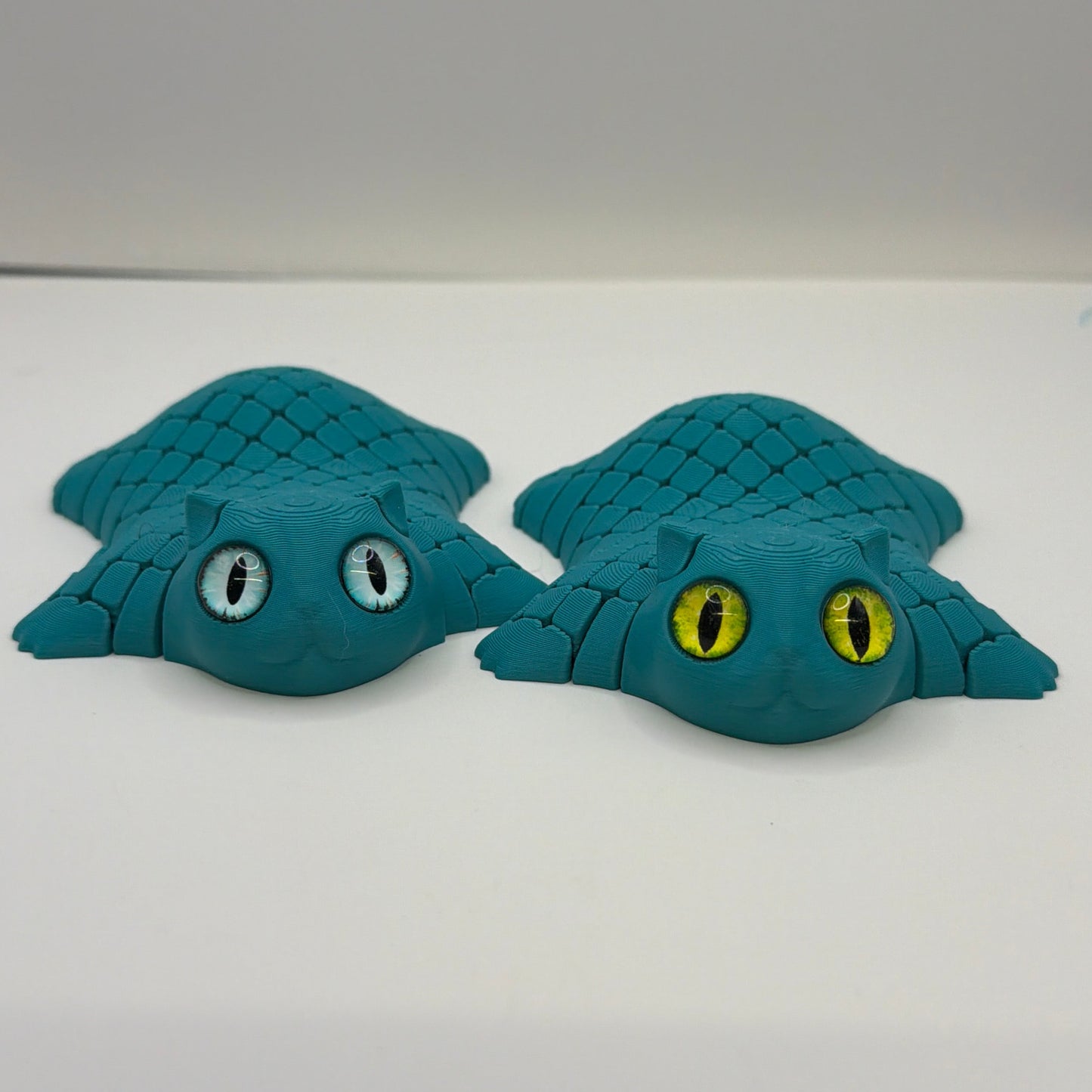 Fidget Cats
