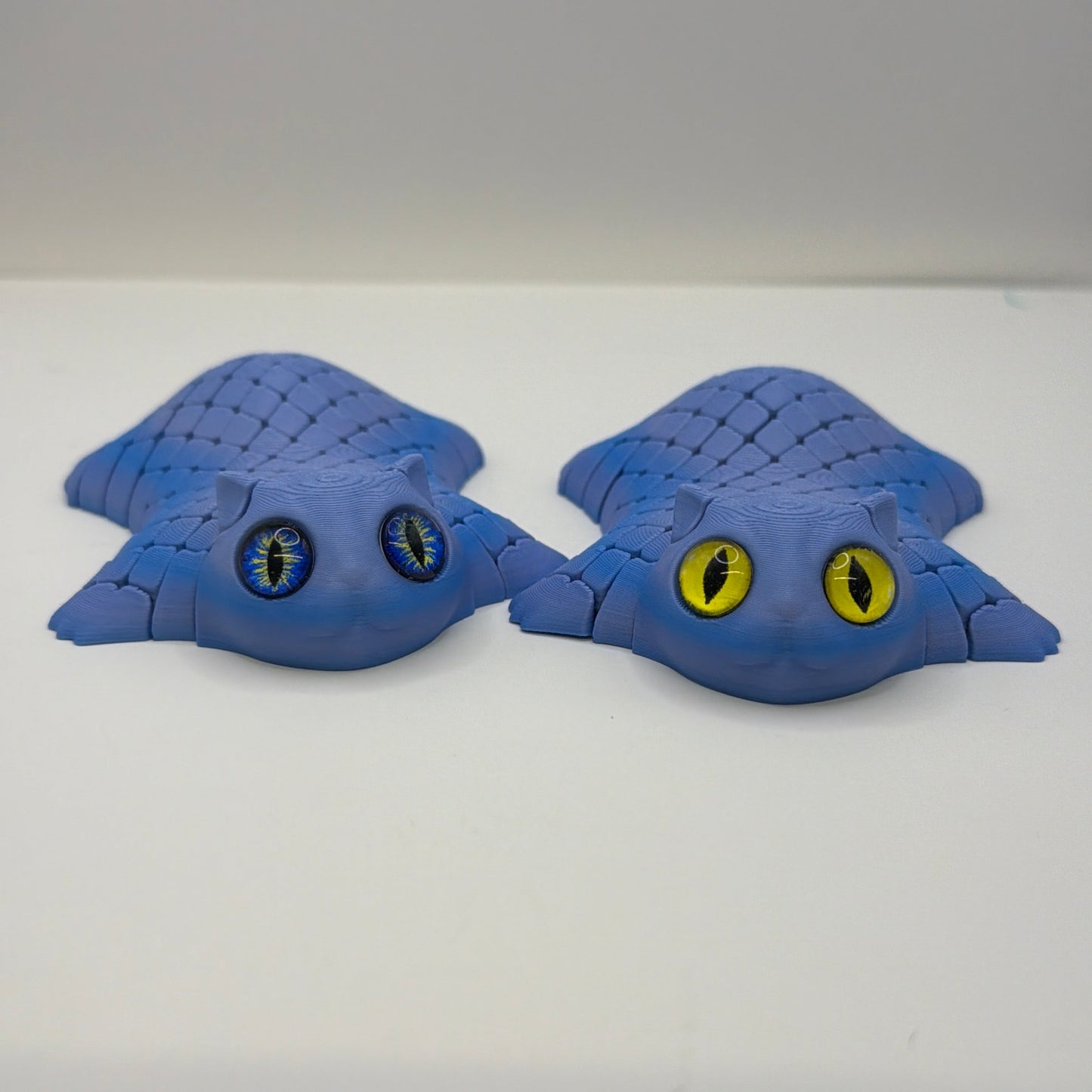 Fidget Cats