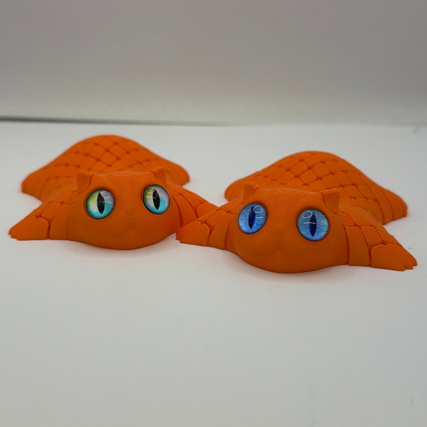 Fidget Cats