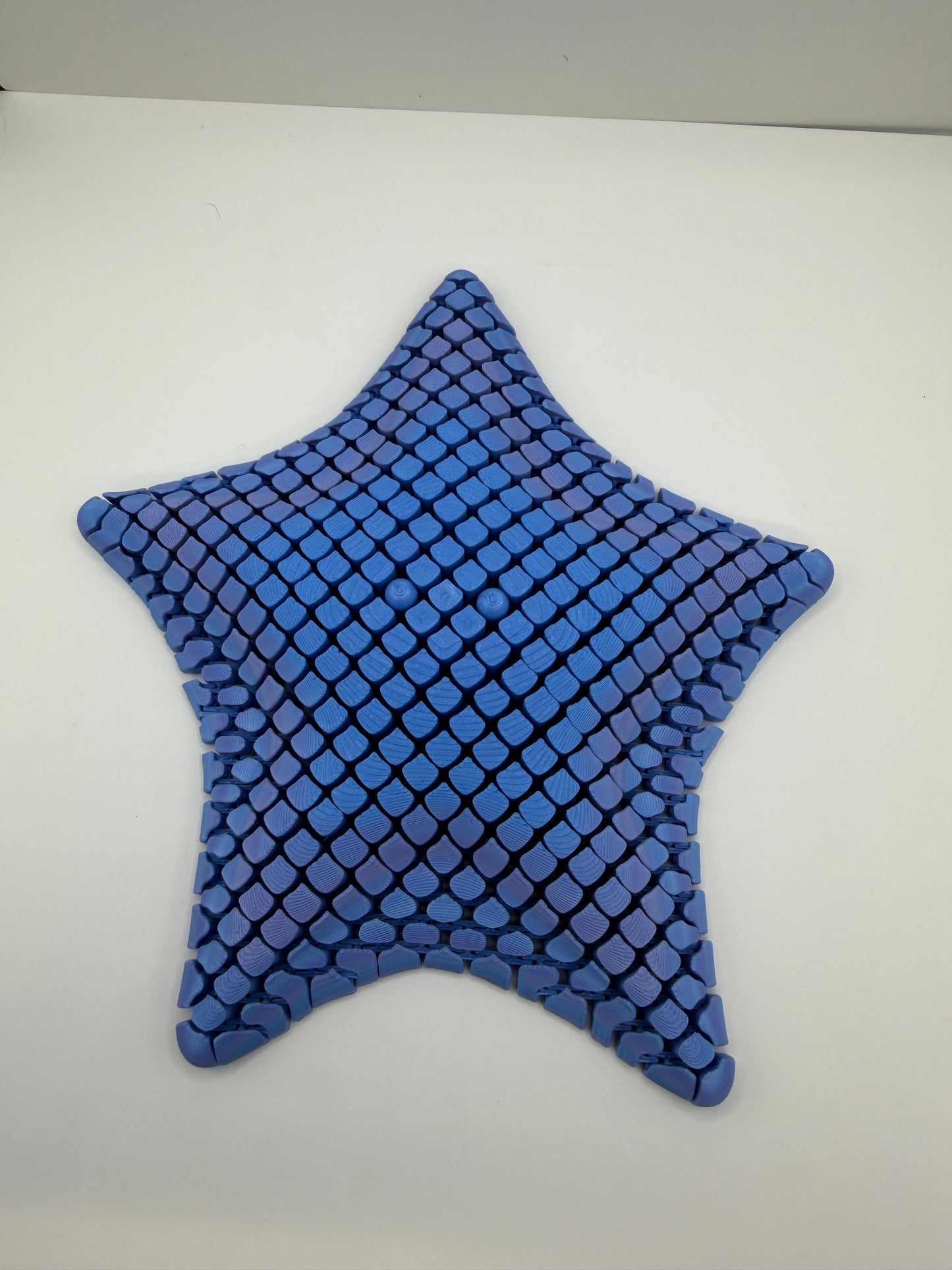 Starfish Fidget