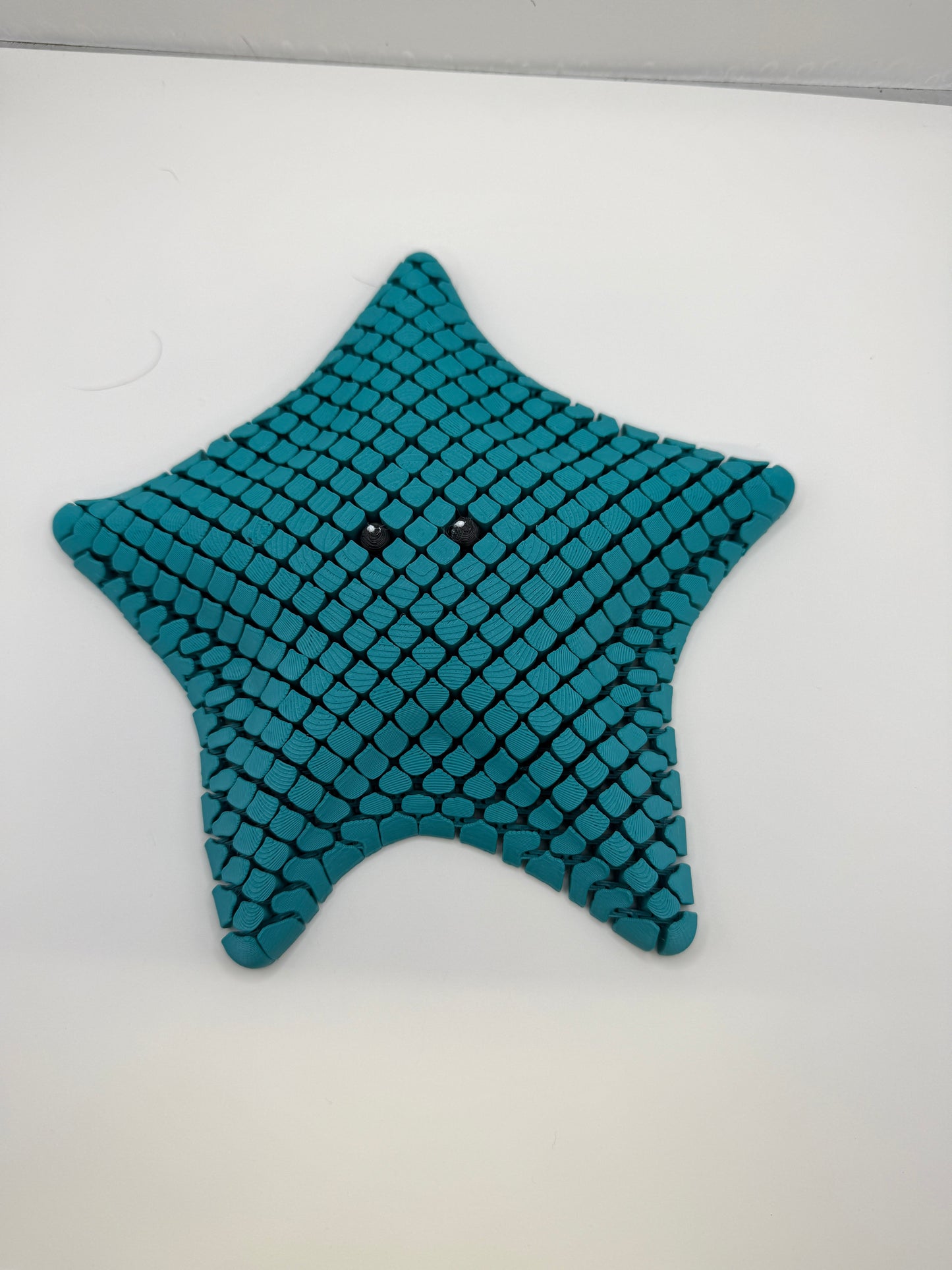 Starfish Fidget