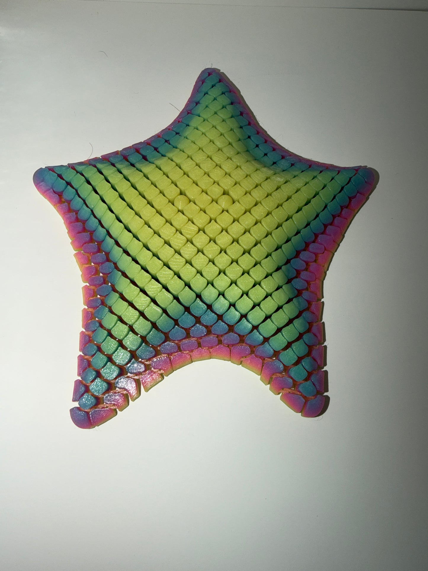 Starfish Fidget