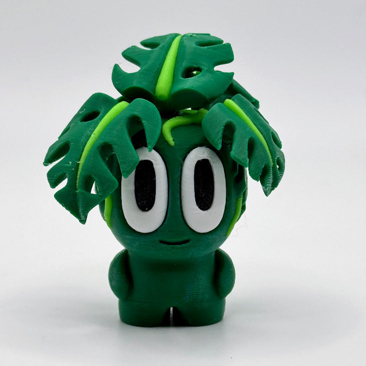 Mini Plants