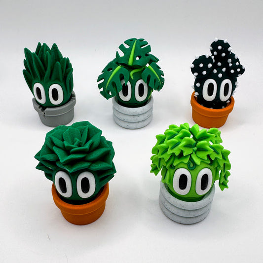 Mini Plants