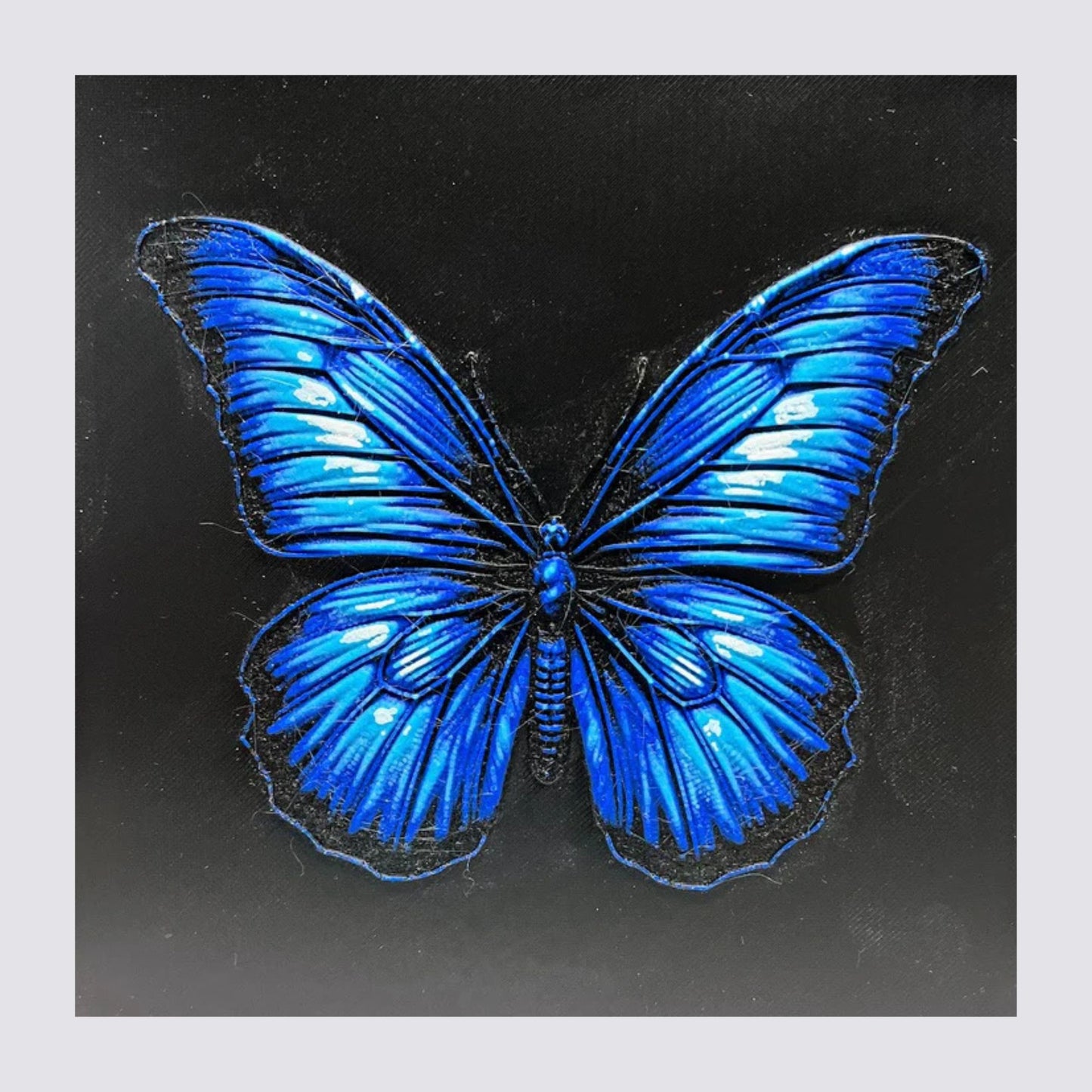 Butterfly 3D Painting